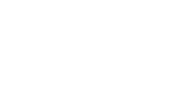 fully licensed & insured1 (1)